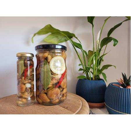 KANLICA MANTAR TURŞUSU 630 G